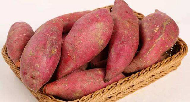 你真的了解红薯淀粉吗？它的基本特性有哪些？