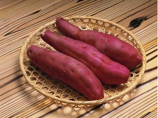 你真的了解红薯淀粉吗？它的基本特性有哪些？