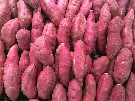 面对红薯淀粉加工产业存在的问题，实用的解决方法有哪些？