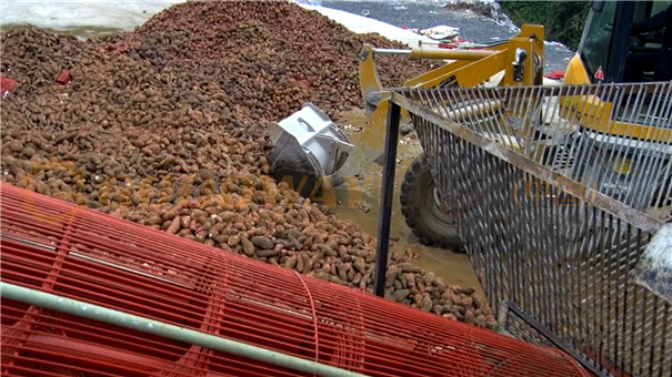 投资建厂购置红薯淀粉成套设备的必要性