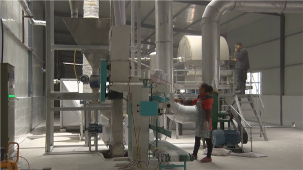 第一次开办红薯淀粉厂如何选择加工设备？参照这5点准不会错